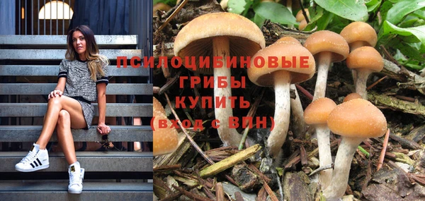 наркотики Алексин