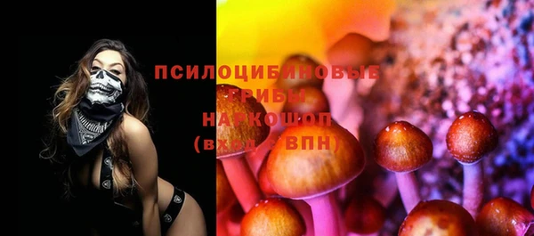 наркотики Алексин